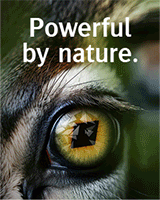 agfa.com